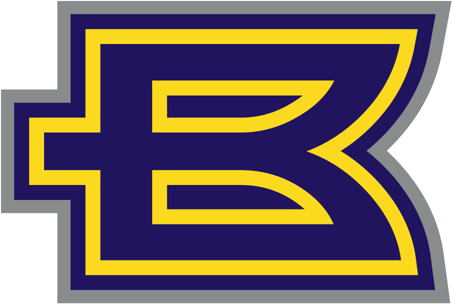 Birmingham Thunderbolts 2001 Alternate Logo 2 vinyl decal